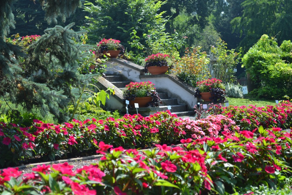 Małopolski Szlak Ogrodów -  Ogród Botaniczny Uniwersytetu Jagiellońskiego w Krakowie