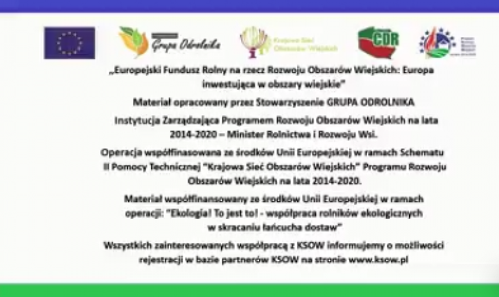 Działania promocyjne żywności ekologicznej w mediach 