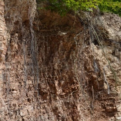 Urokliwa ścieżka geologiczna w Lichwinie