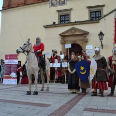 Wielkie Tarnowskie Dionizje