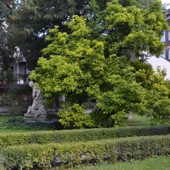 Małopolski Szlak Ogrodów -  Zabytkowy Ogród i Lapidarium - Muzeum im. Emeryka Hutten-Czapskiego w Krakowie