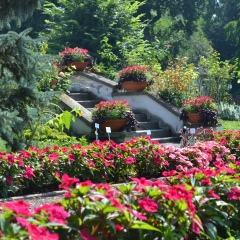 Małopolski Szlak Ogrodów -  Ogród Botaniczny Uniwersytetu Jagiellońskiego w Krakowie