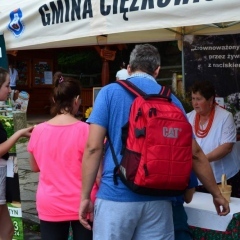 Kiermasze na Skamieniałym Mieście dobiegły końca