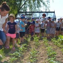 Zajęcia w Ogródku Edukacyjnym przy Centrum Produktu Lokalnego
