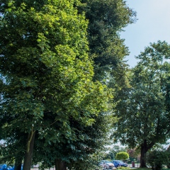 Małopolski Szlak Ogrodów -  Ogród w Wawrzeńczycach 