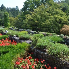 Małopolski Szlak Ogrodów -  Ogród Botaniczny Uniwersytetu Jagiellońskiego w Krakowie