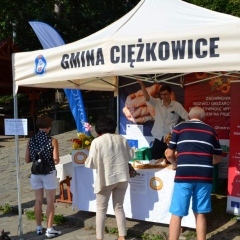 Kiermasze na Skamieniałym Mieście dobiegły końca