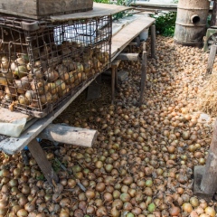 Wizyta studyjna #studypress przedstawicieli mediów organizowana przez Stowarzyszenie GRUPA ODROLNIKA 
