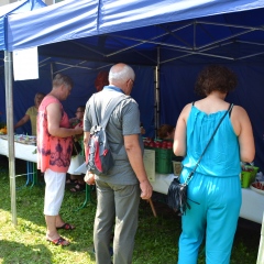 Relacja z EkoFestu