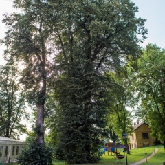 Małopolski Szlak Ogrodów -  Zespół dworsko-parkowy w Zgłobicach