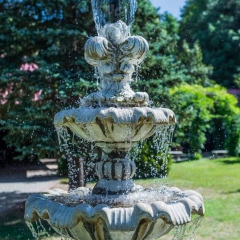 Małopolski Szlak Ogrodów - Ogród przy hotelu Cristal Park w Tarnowie-Mościcach