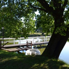 Małopolski Szlak Ogrodów - Park w Centrum Paderewskiego w Kąśnej Dolnej
