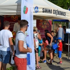Kiermasze na Skamieniałym Mieście dobiegły końca