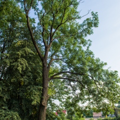 Małopolski Szlak Ogrodów -  Zespół dworsko-parkowy w Zgłobicach
