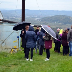 Warsztaty - Z pola do garnka (...) 