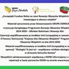 Działania promocyjne żywności ekologicznej w mediach 