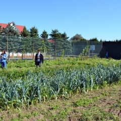 Z pola do garnka - współpraca rolników ekologicznych w skracaniu  łańcucha dostaw